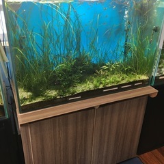 那覇～引き取り限定品☆水槽【90サイズ】＆水槽台＆鑑賞ヤシ【つぼ付き】