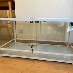 決まりました⭐︎パンテオン9045ホワイト