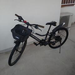 🉐【レア品早い者勝ち】🉐GT TIMBERLINE 29インチフレームM  