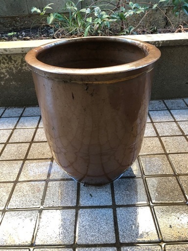 大きなカメ、ツボ