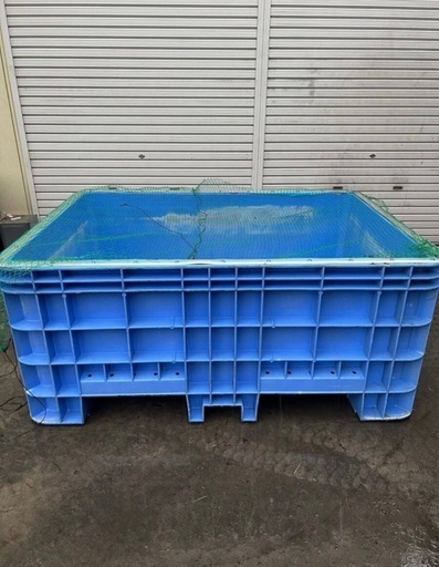 ジャンボックス サンコー 1000L ブルー サンボックス 錦鯉 金魚 大型