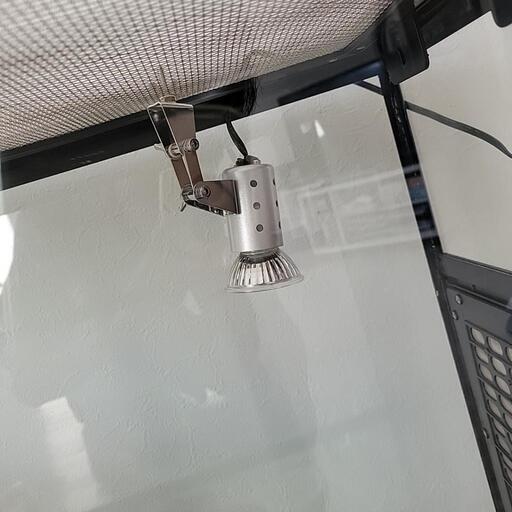 ☆ジモティ割あり☆ コレクションボード ブラウン H220×D48×W165 