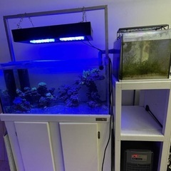 引き取り限定　90cmオーバーフロー水槽 セット売り コトブキ工芸 コトブキ レグラスF-900L オーバーフロー水槽