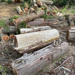 丸太 原木 長物 製材対応可 国産材2本