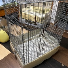 イージーホーム60 中古ゲージ