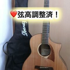 ❤️弦高調整済！「Sepia Crue セピアクルー カスタム F-250 黒」島村楽器