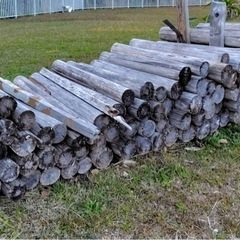 杉丸の中古が安い！激安で譲ります・無料であげます｜ジモティー 