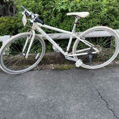 新車並み！ 試乗車彡ブリヂストン CHERO クロエ 700F