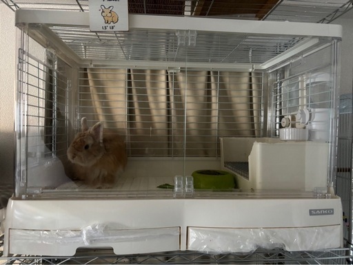 イージーホーム　シャイニー80 超美品 楽天市場】イージーホーム シャイニー 80WH【一度のご注文で1個まで