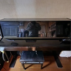 交渉中）チェロ ピグマリウス ＋杉藤弓＋carbon macケース (ぽー) 日吉  