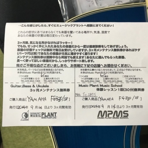 YAMAHA/FG830サンセットブルー弦高調整済み YAMAHA/FG820 