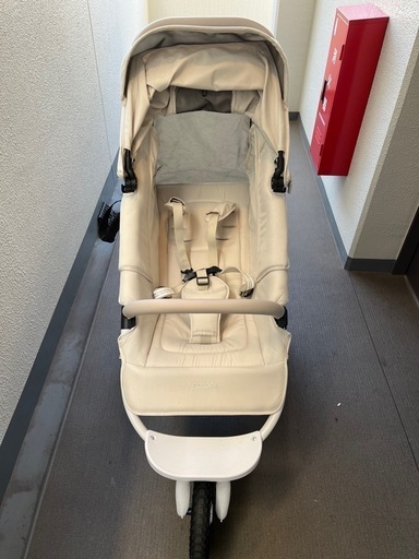 エアバギー ココプレミア フロムバース 【ホワイトアッシュ】 代々木