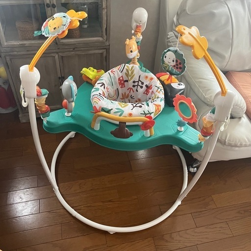 レインフォレスト ジャンパルー フィッシャープライス フィッシャー 