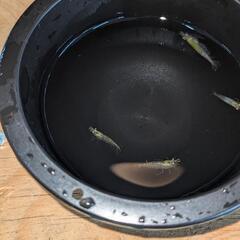 メノウ、アメジスト、水晶、類、御理解、収集趣味、興味ある方大幅