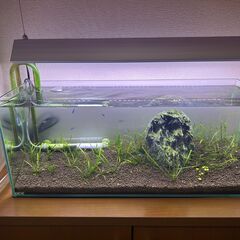 龍王石の中古が安い！激安で譲ります・無料であげます｜ジモティー 