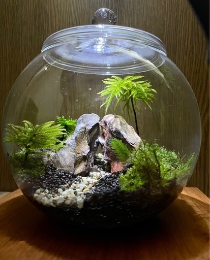 170万ノット！輝く、本場イラン産 絨毯！円形150cm‐201261 170万ノット！輝く！本場イラン産 絨毯 円形150cm‐201261