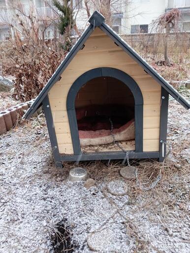 中型犬用犬小屋値引きしました