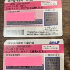 2席分 2024年4/13（土）大相撲藤沢場所イスA席チケット2枚
