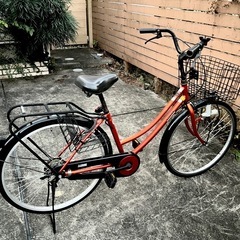 キッズMTB】TREK（トレック）Superfly 24（スーパーフライ24） 2018年