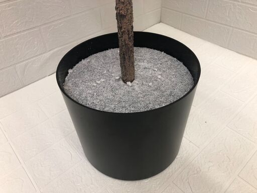 展示品！LEDライト付き ノルディックツリー 高さ182センチ