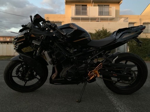 Kawasaki Ninja250 2020年式 メタリックスパークブラック カワサキは