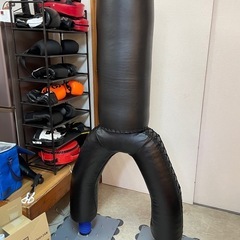 インローマスターの中古が安い！激安で譲ります・無料であげます  