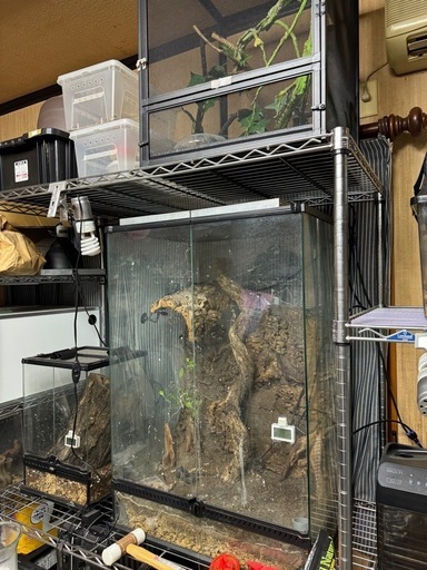 爬虫類 飼育 一式 Sariny爬虫類飼育箱 爬虫類ケージ レプタイル 爬虫類 飼育 一式 Sariny爬虫類飼育箱 爬虫類ケージ レプタイル
