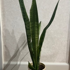 ブリヂストン シティサイクル ビレッタ VT66T 26型 武蔵野・三鷹エリア