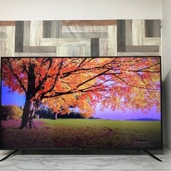 アイリス 液晶テレビ(テレビ)の中古が安い！激安で譲ります・無料で  