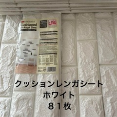 広島市内配送】🍆種まきマシンベジタブルシーダー菜々子🍅 (政です  