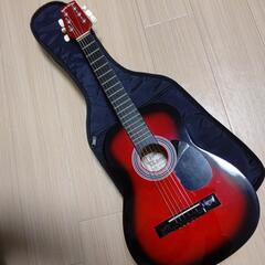 フラダンス ウリウリ 着脱式 2つ Mサイズ オアフ島フラサプライ製