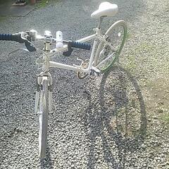 cinelli superstar サイズXS 身長160cm〜170cm程度