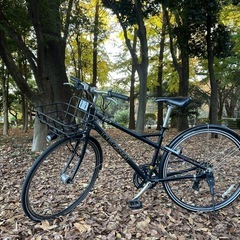 ジャンク品 Louis Garneau 「ルイガノ」 MV1M 年式不明 ミニベロ