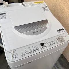 2023年製 SHARP シャープ ES-TX6G-S 洗濯機乾燥付き 6.5kg
