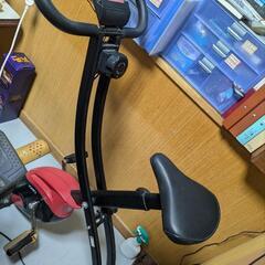 使用回数3回、室内保管)ADEL28インチ自転車 (noaya) 古島のロード  