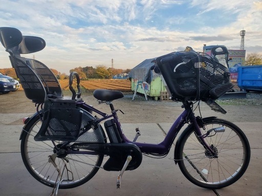 ブリヂストン 電動アシスト自転車 アンジェリーノプティットe 20型 アンジェリーノプティットe -2016モデル- ブリヂストン(BRIDGESTONE