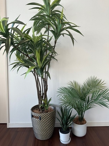 【2024年限定】フェイクグリーン　セット　鉢植え付き
