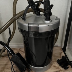 みきとにー直筆サイン色紙証明写真付き (禰覇亘) うるまのその他  