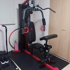 ホームジム スポーツの中古が安い！激安で譲ります・無料であげます  