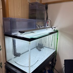 90cmアクリルリフジウム水槽