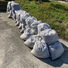 木の根 その他の中古が安い！激安で譲ります・無料であげます｜ジモティー 