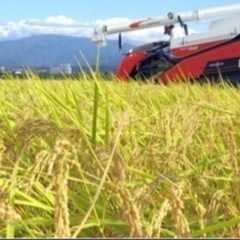 お取引中）伊藤ハム グランドアルトバイエルン 2個束（お取引は今週中  