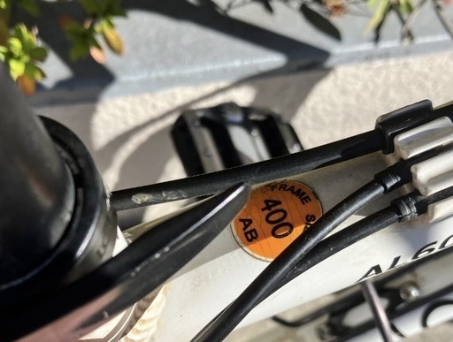 ジャンク】ルイガノ LOUIS GARNEAU XC CASPER マウンテンバイク 手渡し