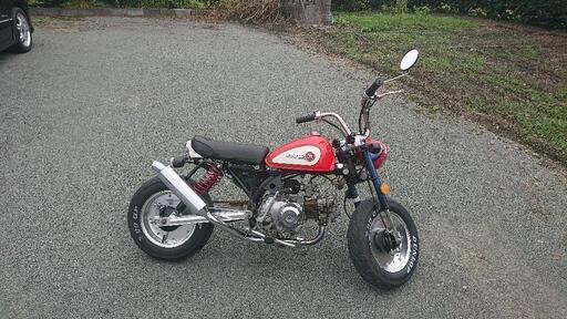 金城ドギー　希少　モンキー仕様　50cc　12/16〜12/21まで限定価格