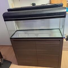 沖縄県の水槽セットの中古が安い！激安で譲ります・無料であげます  