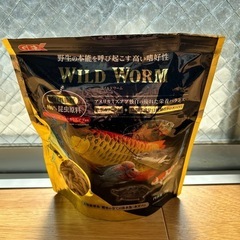 アロワナ バラマンディ×2 3匹セットの価格