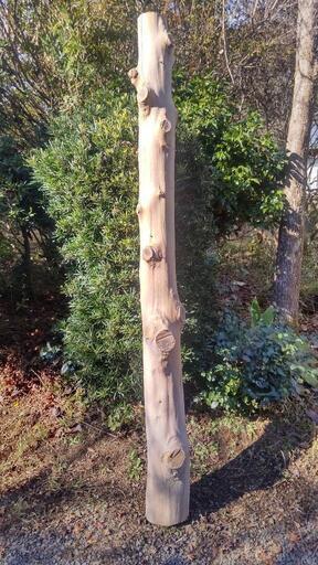 北山杉磨丸太 3000×末口φ90 床柱用 銘木 杉磨丸太 床柱
