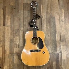 SCHECTER シェクター EX-V エレキギター 日本製 激キルト (Frest  