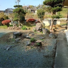 薪 広葉樹ミックス 45cmから30cm程度 2023年販売中 菊池郡大津町 乾燥