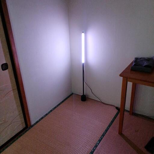 新品】2本まとめてUSB電源RGB LEDフロアランプ リモコン付き - モダンミニマリストデザイン 各部屋に対応\nサイズ7.5×99cm